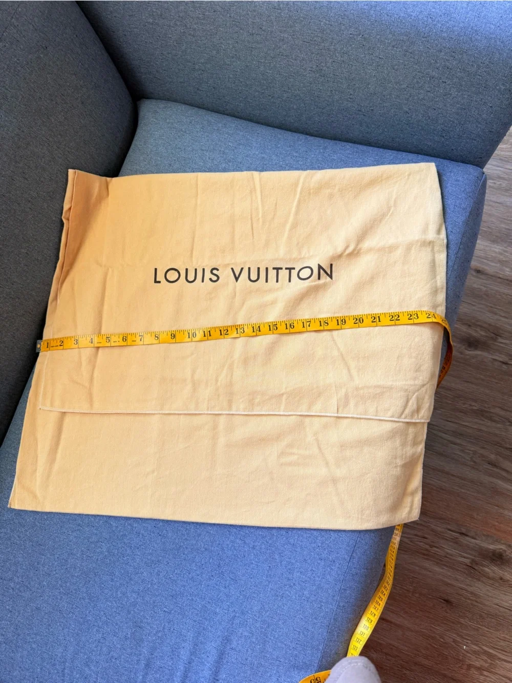 Louis Vuitton authentic louis